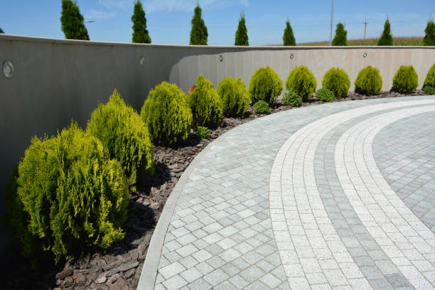 Best Driveway Pavers Contractor  in Grasonville, MD